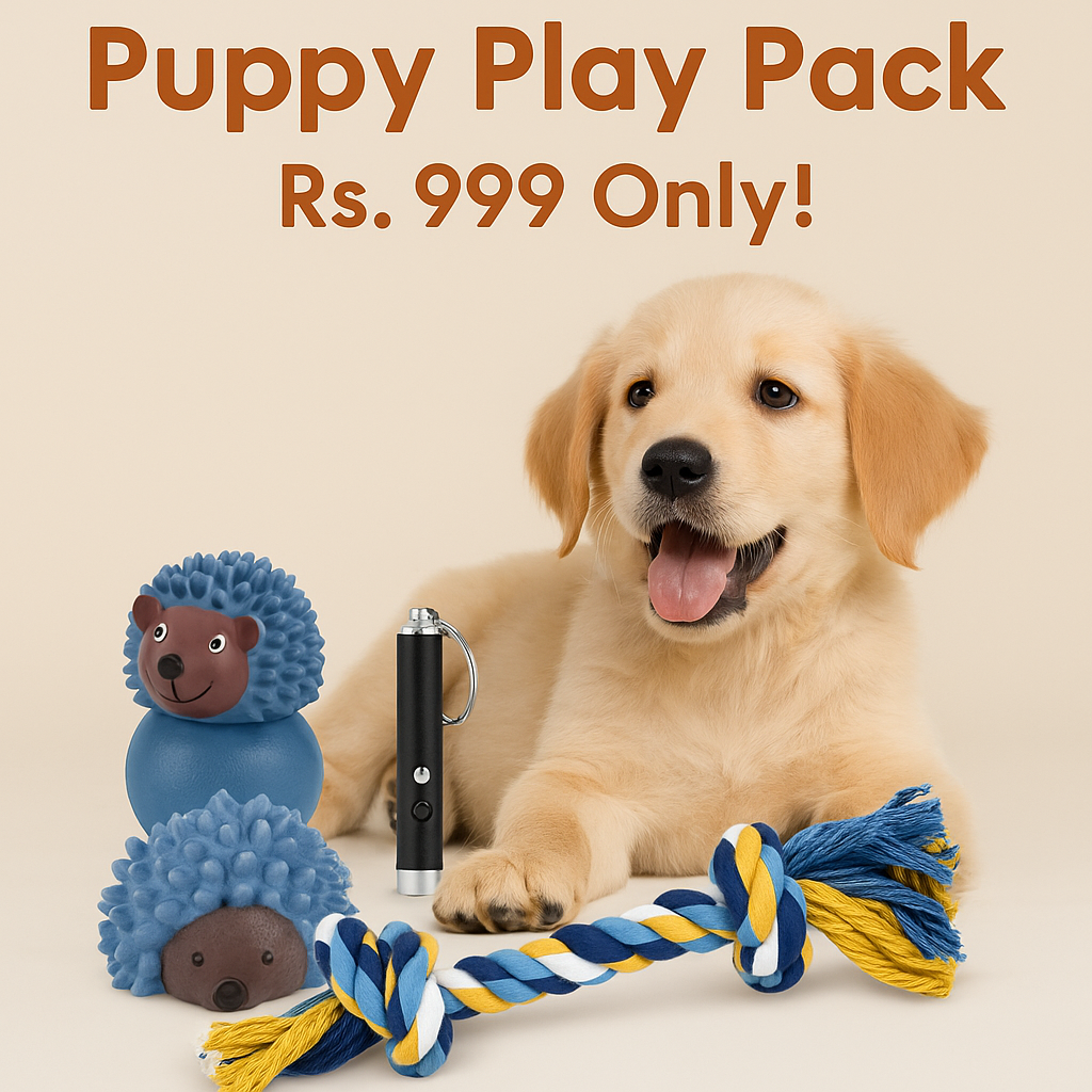 πΆ Puppy Play Pack β Rs. 999/-