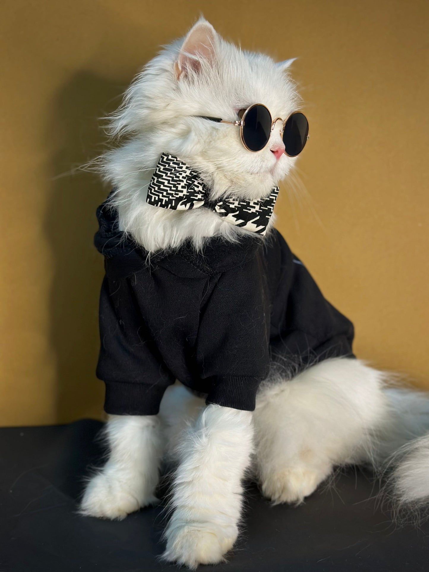 Pawda Milano Pet Hoodie 🐾🐾