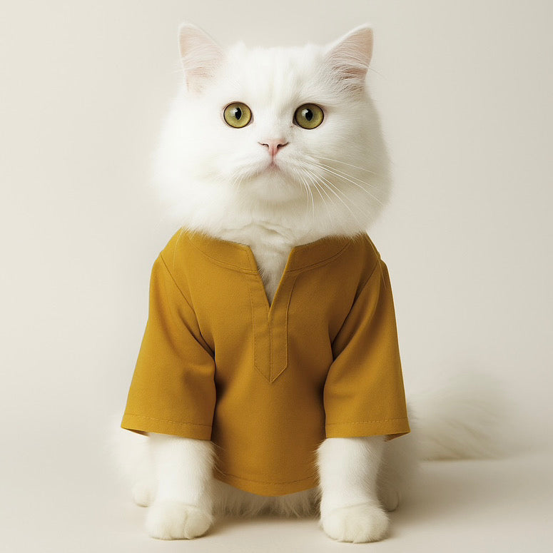 Classic Cat kurtas ๐ป๐