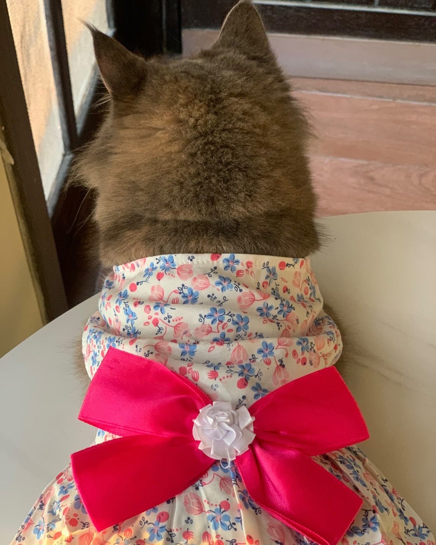 Glory pink pet frock 🌸