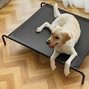 Elevated pet bed for cats and dogs