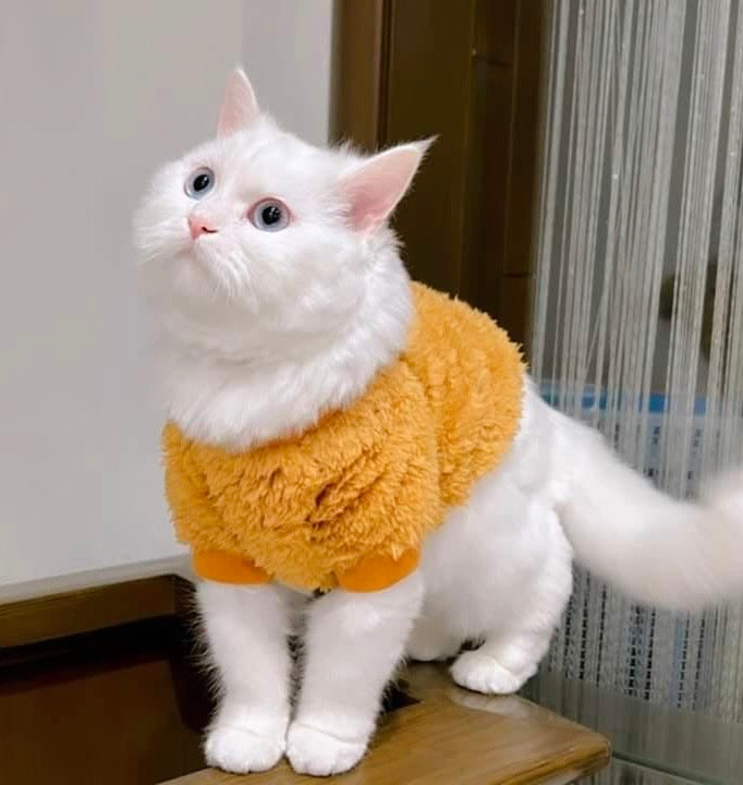 Cozy Pet Sweater - Camel š¤