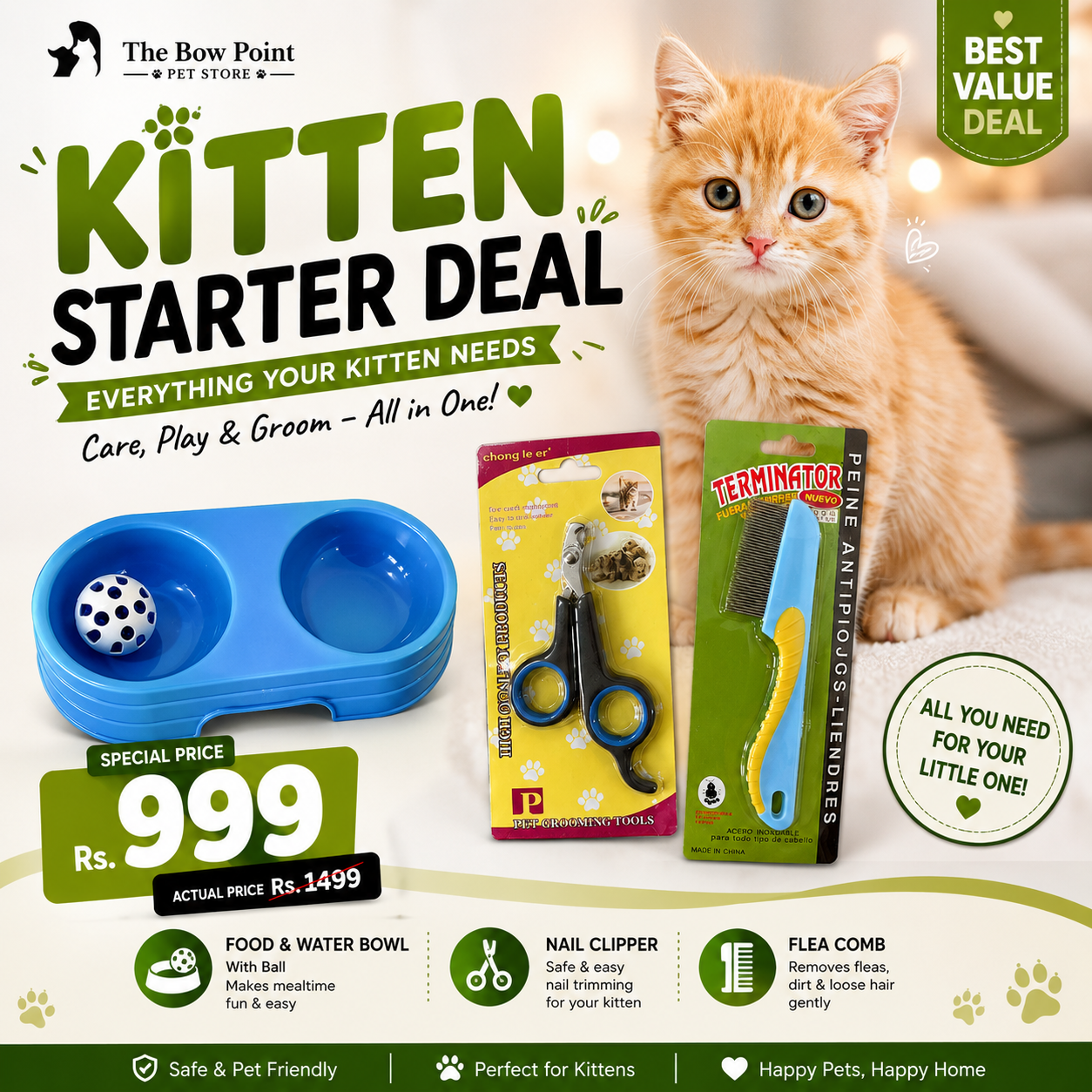 Kitten starter Deal Just 999rs
