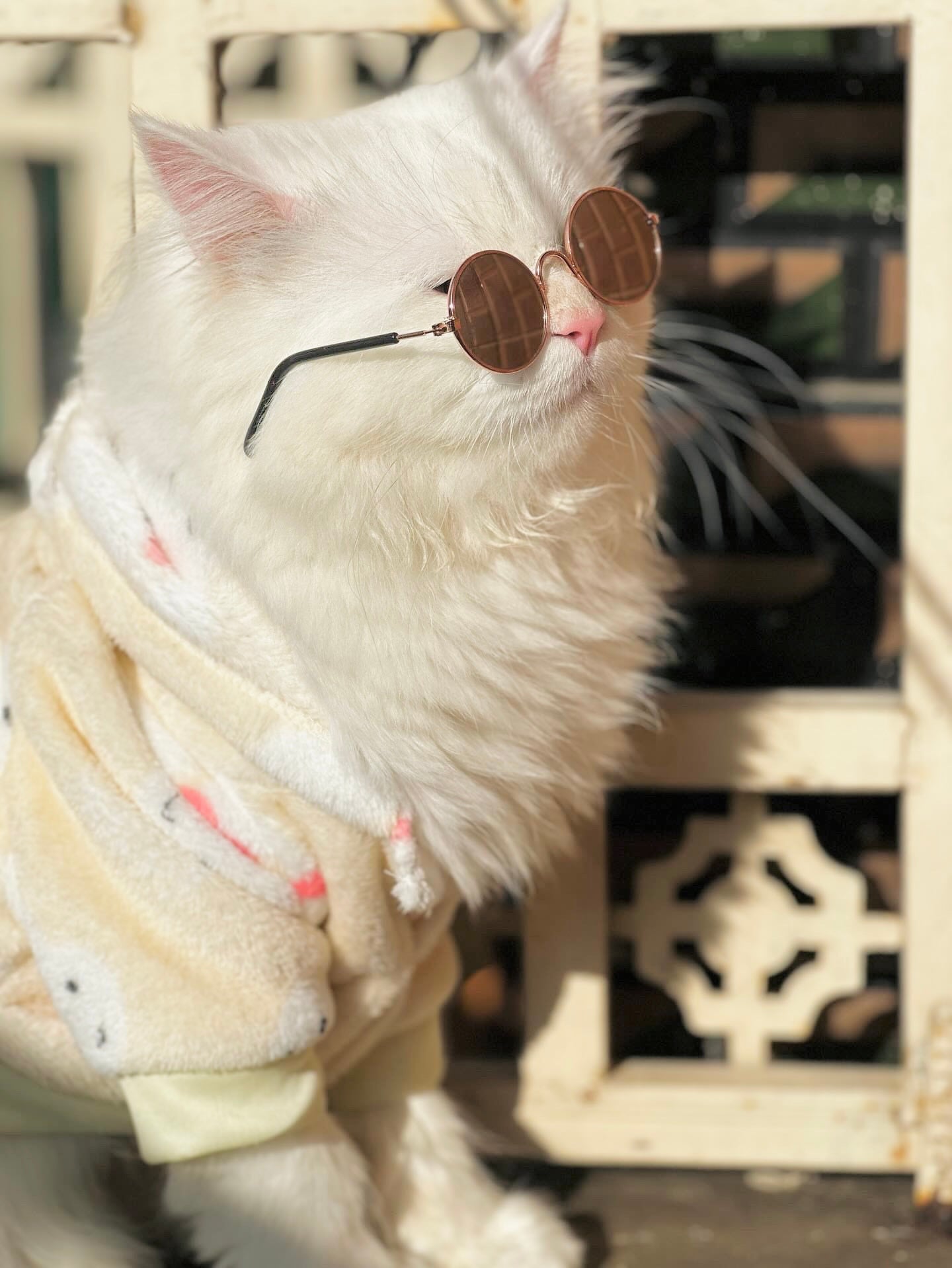 Bunny Pet Hoodie -Yellow🐰🐾
