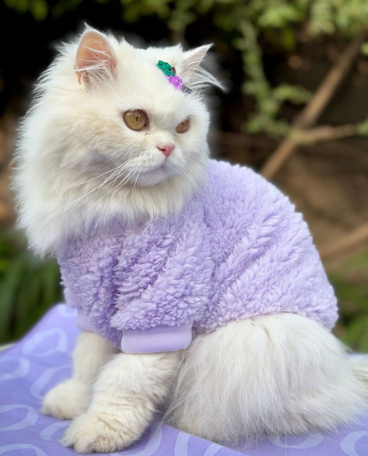 Cozy Pet Sweater - Lilac š