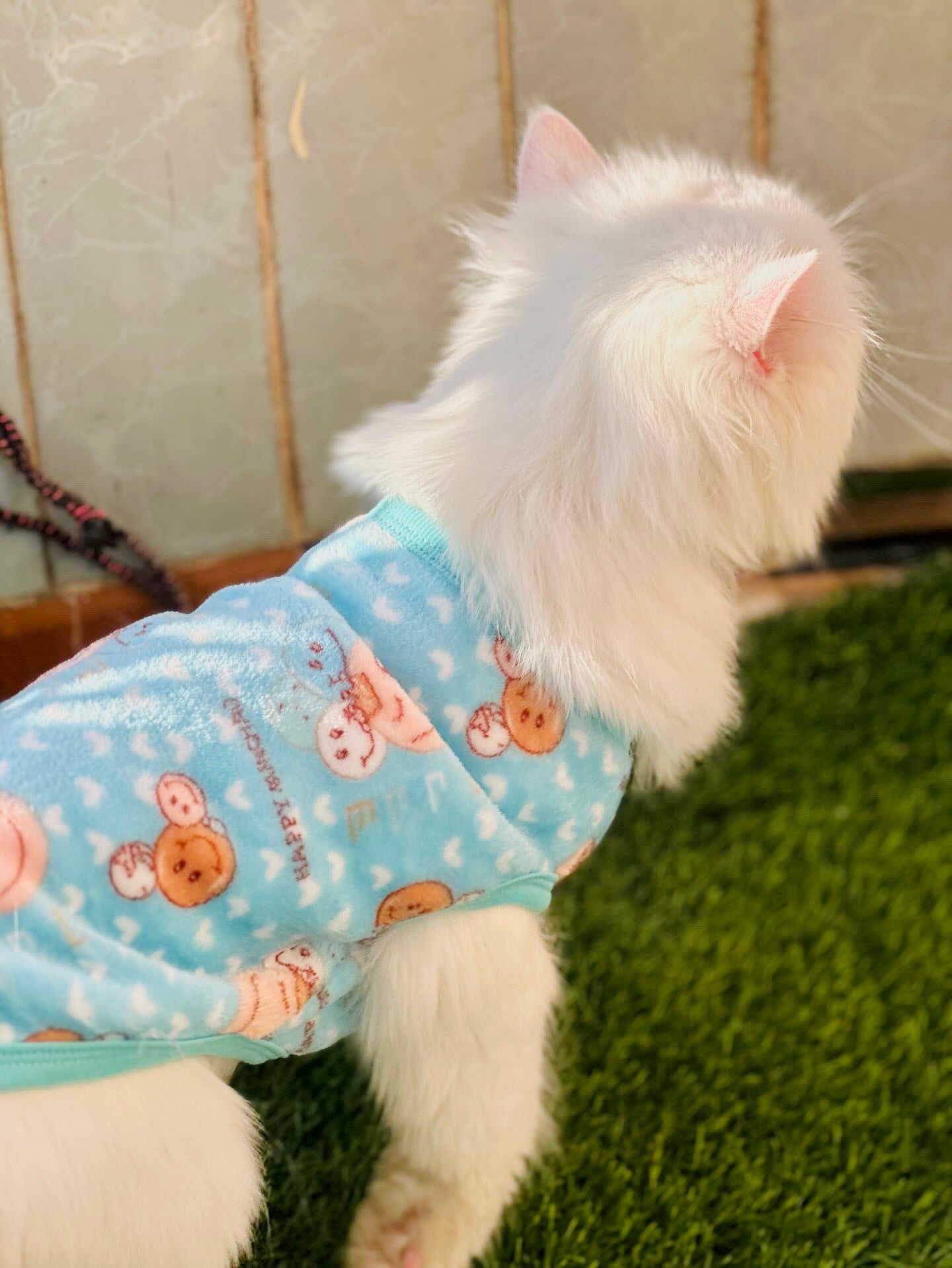 Happy Faces Pet Sweater -Blue 😊😉