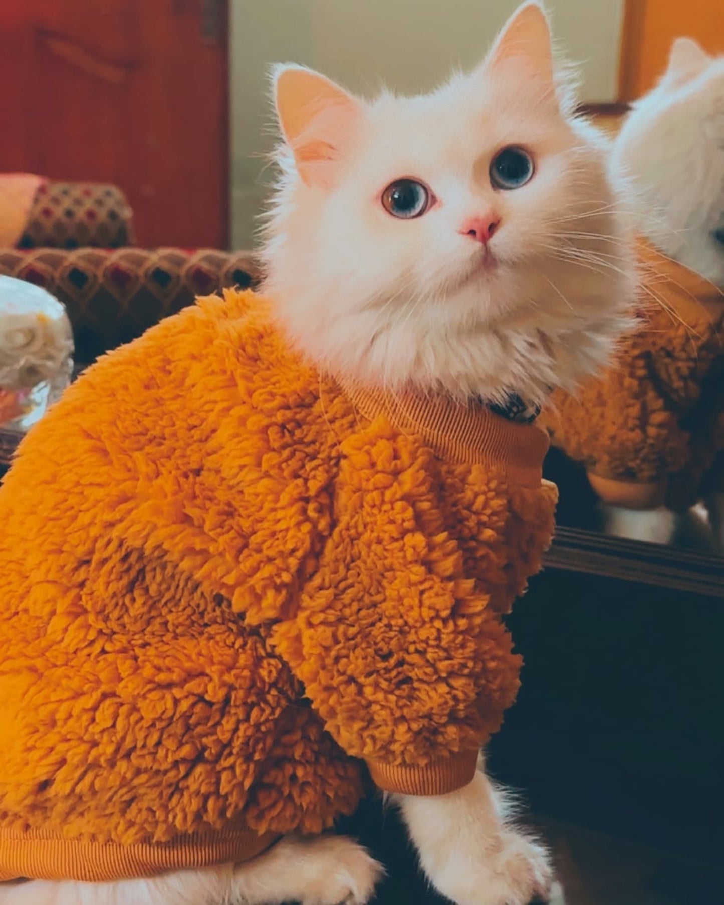 Cozy Pet Sweater - Camel š¤