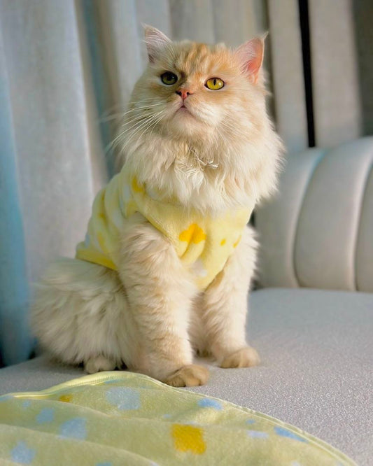 Cloud Pet Hoodie - Yellow π βοΈ