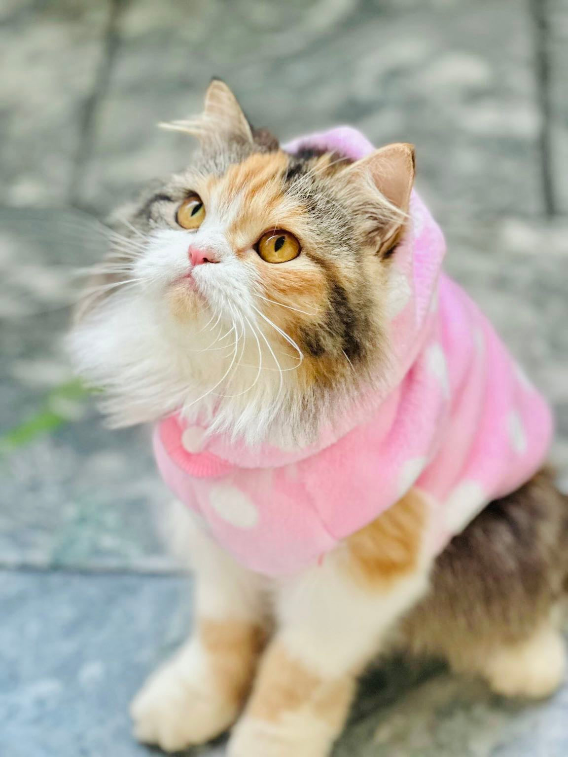 Polka dot hoodie with removable cap-
- Pinkš±š