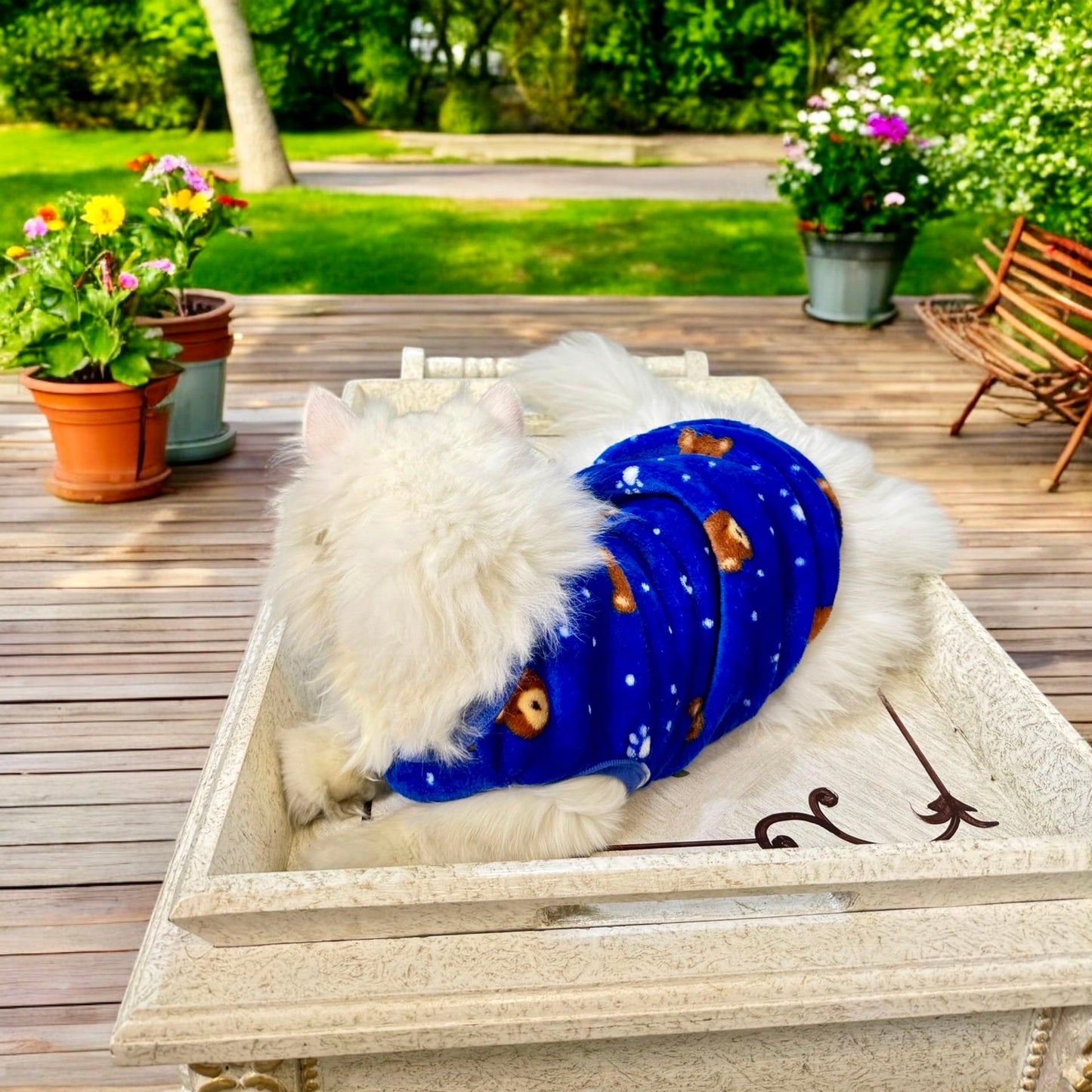 Bear Pet Sweater -Blue 🐻❄️💙
