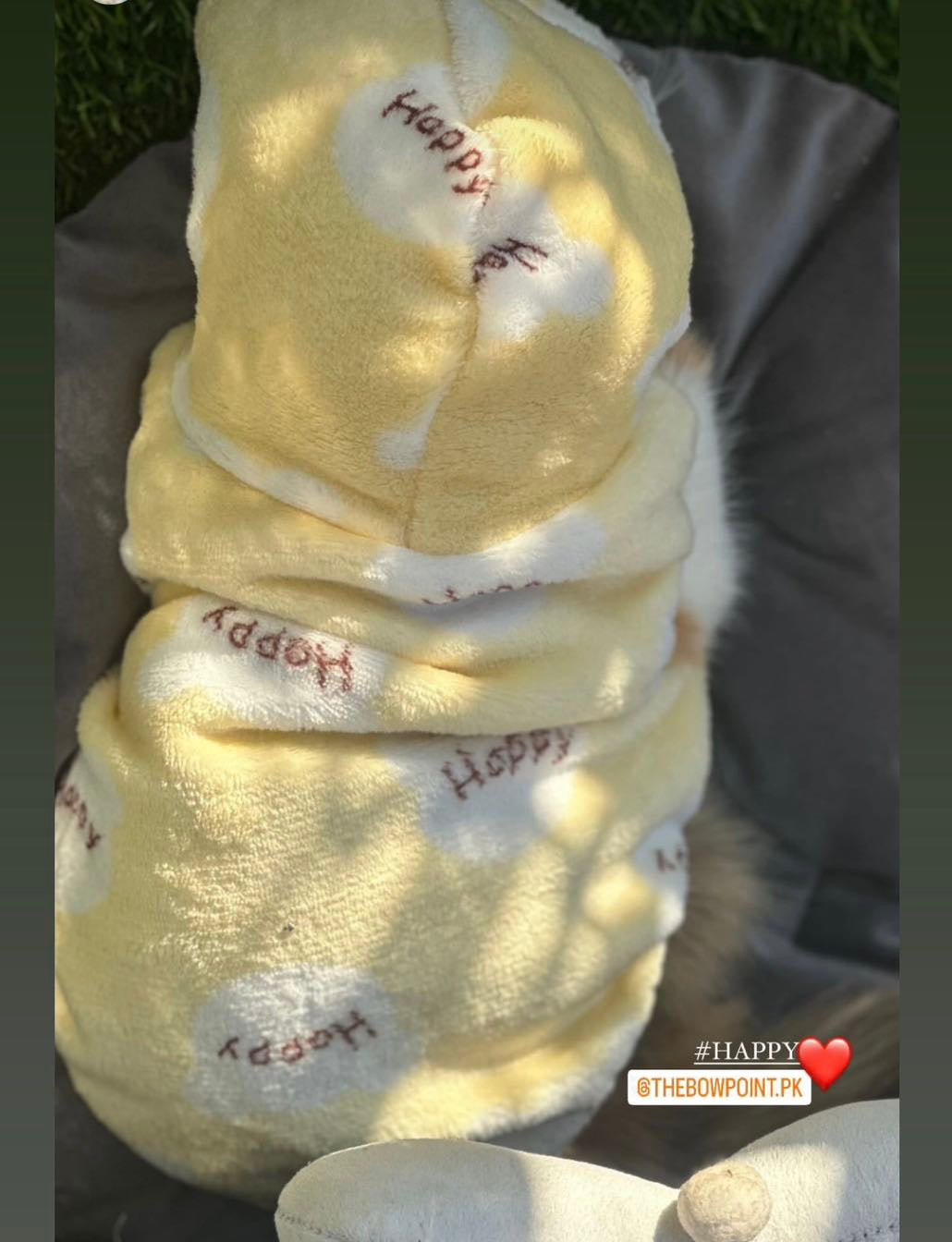 Happy Bear Pet Hoodie -Yellow 🐻❄️🌼