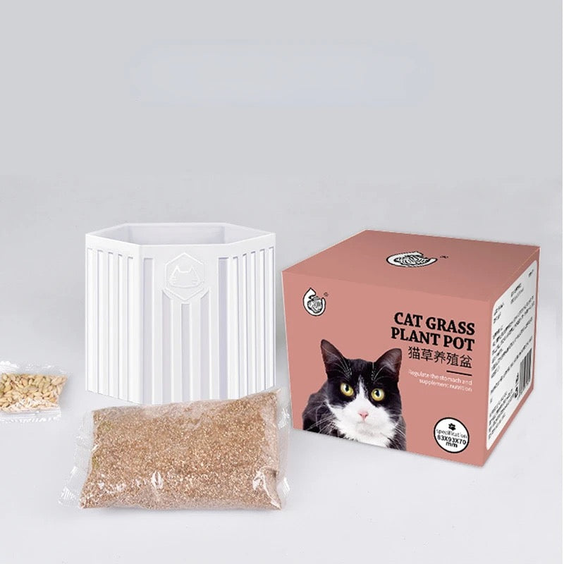 Cat grass kit