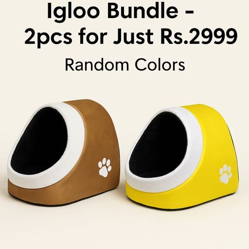 Igloo Bundle - 2pcs for Just 2999Rs - Get Random Colors