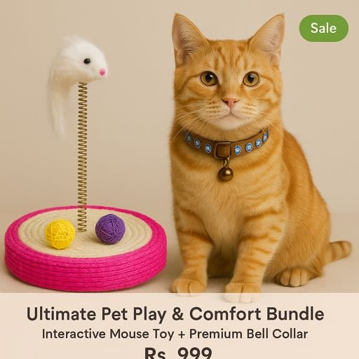 Ultimate Pet Play & Comfort Bundle - Interactive Mouse Toy + Premium Bell Collar