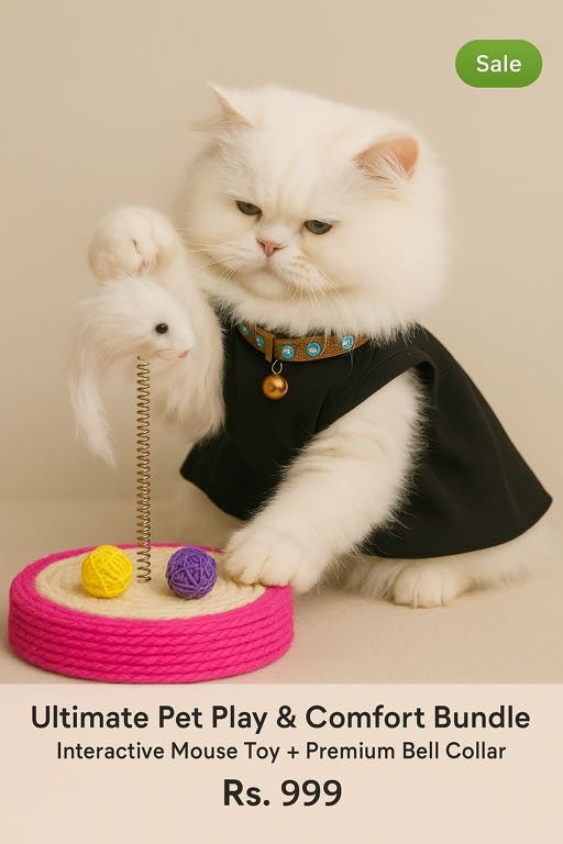 Ultimate Pet Play & Comfort Bundle - Interactive Mouse Toy + Premium Bell Collar