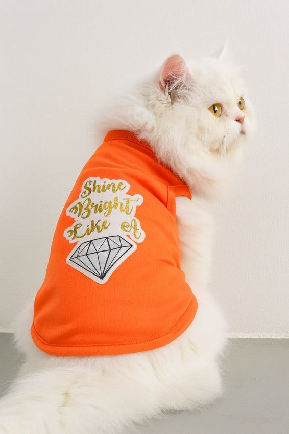 Shine Bright Like A Diamond✨ 💎