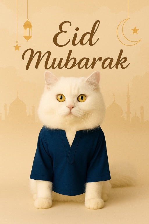 Classic Cat kurtas ๐ป๐