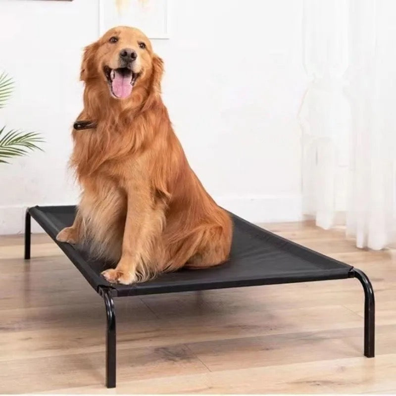 Elevated pet bed for cats and dogs