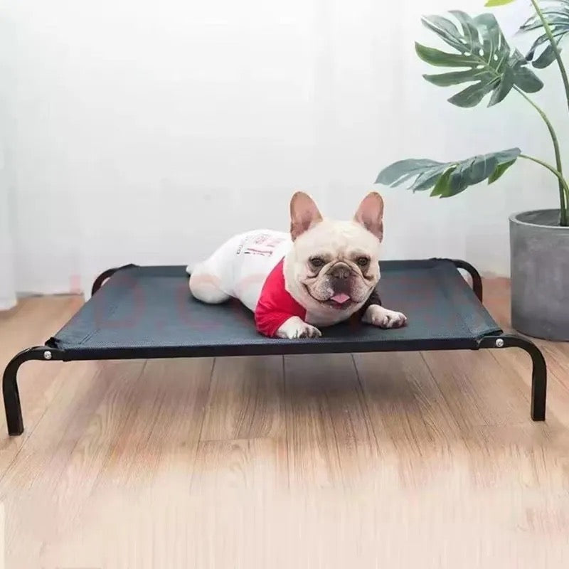 Elevated pet bed for cats and dogs