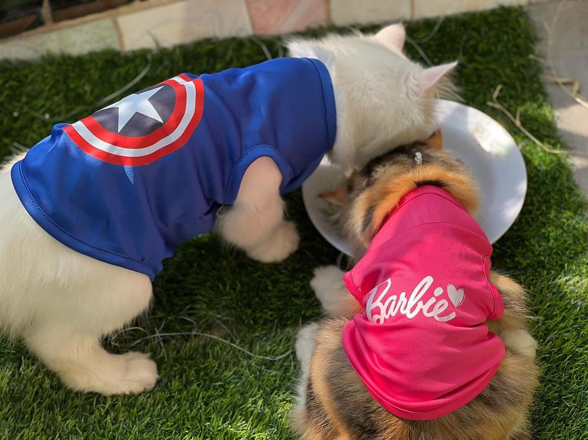 Captain america pet shirt 🔵