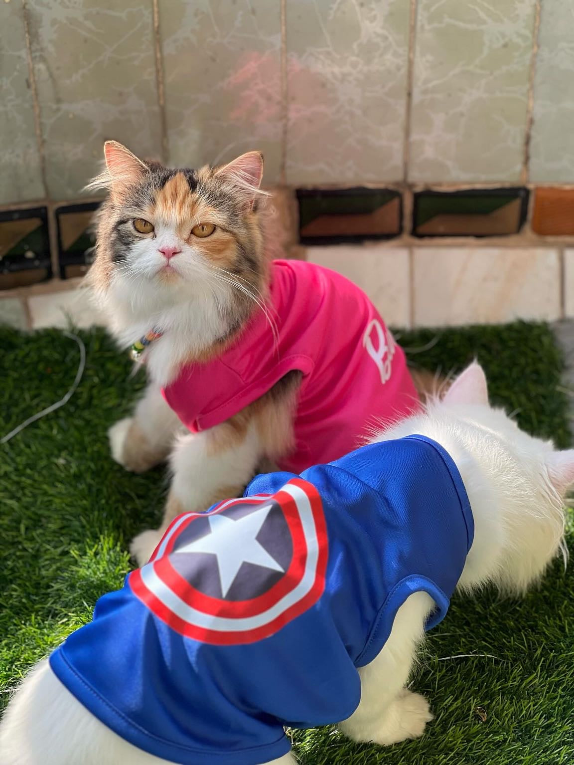 Captain america pet shirt 🔵