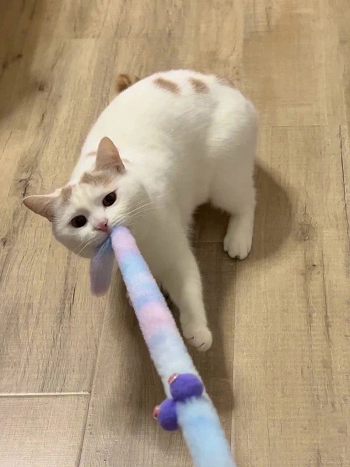 Fluff Caterpillar toy stick đ