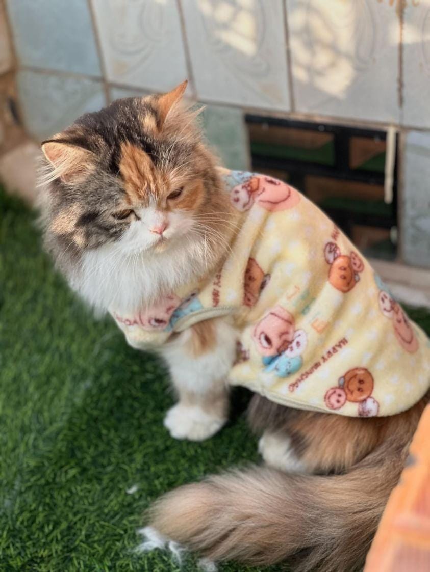 Happy Faces Pet Sweater -Yellow 😊😉