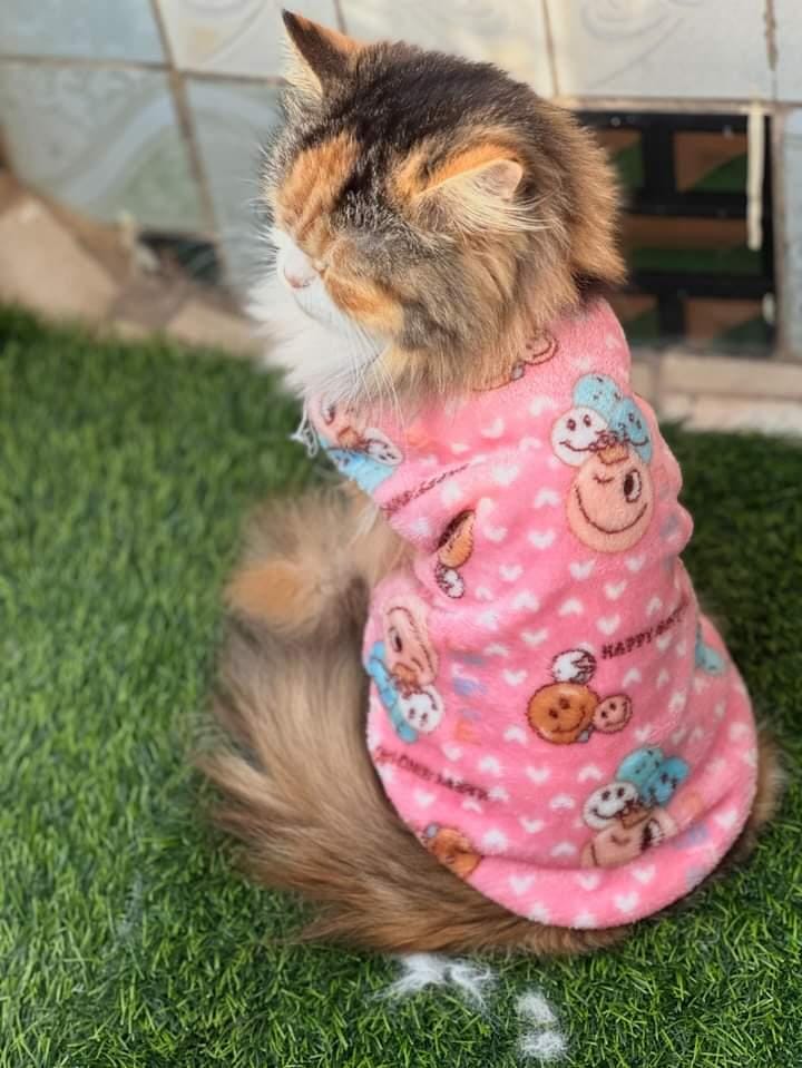Happy faces Pet Sweater -Pink 😊☺️