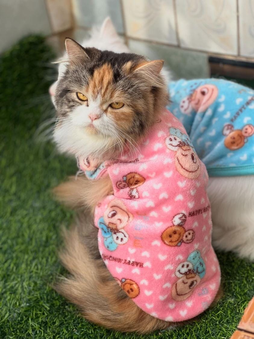 Happy faces Pet Sweater -Pink 😊☺️