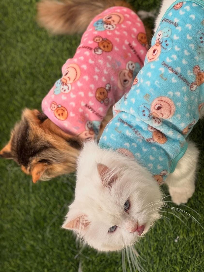 Happy Faces Pet Sweater -Blue 😊😉