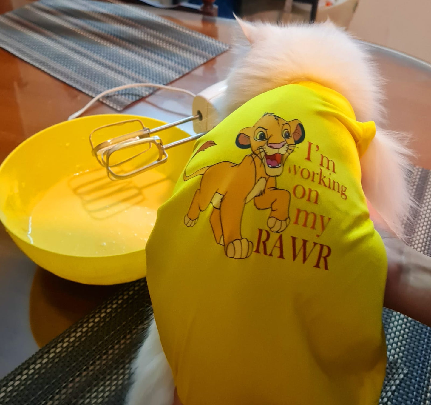Simba Pet shirt - Summer