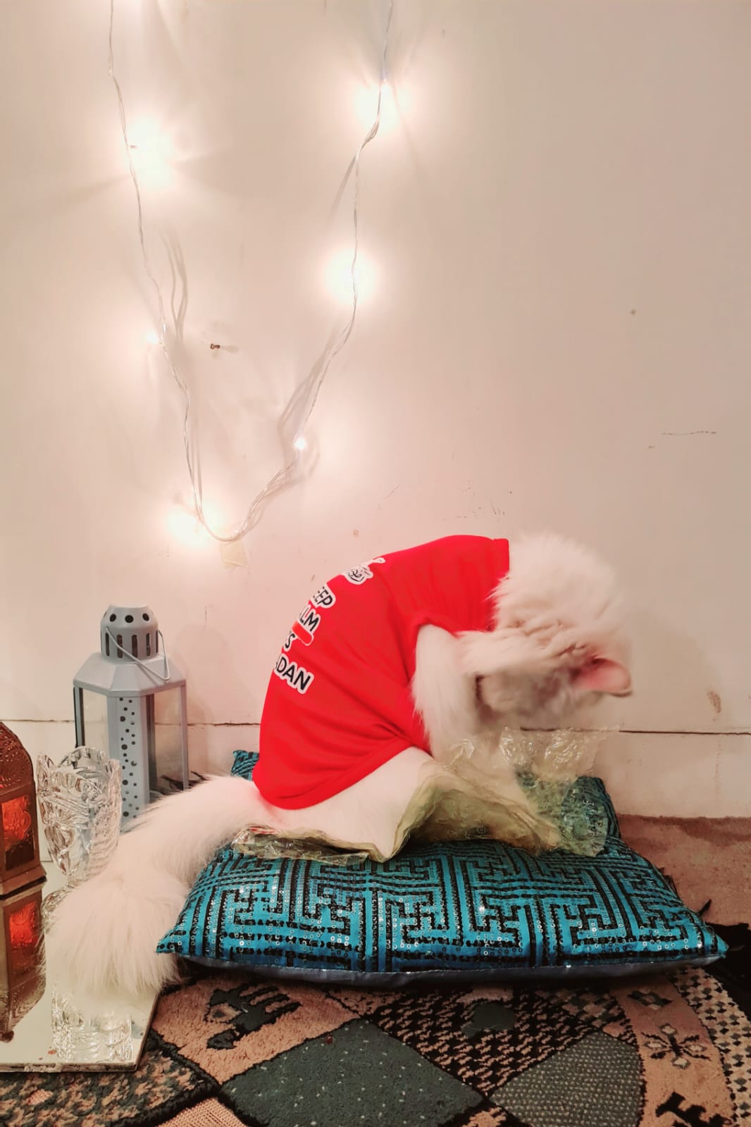 Keep Calm its RAMADAN Pet Shirt β¨π