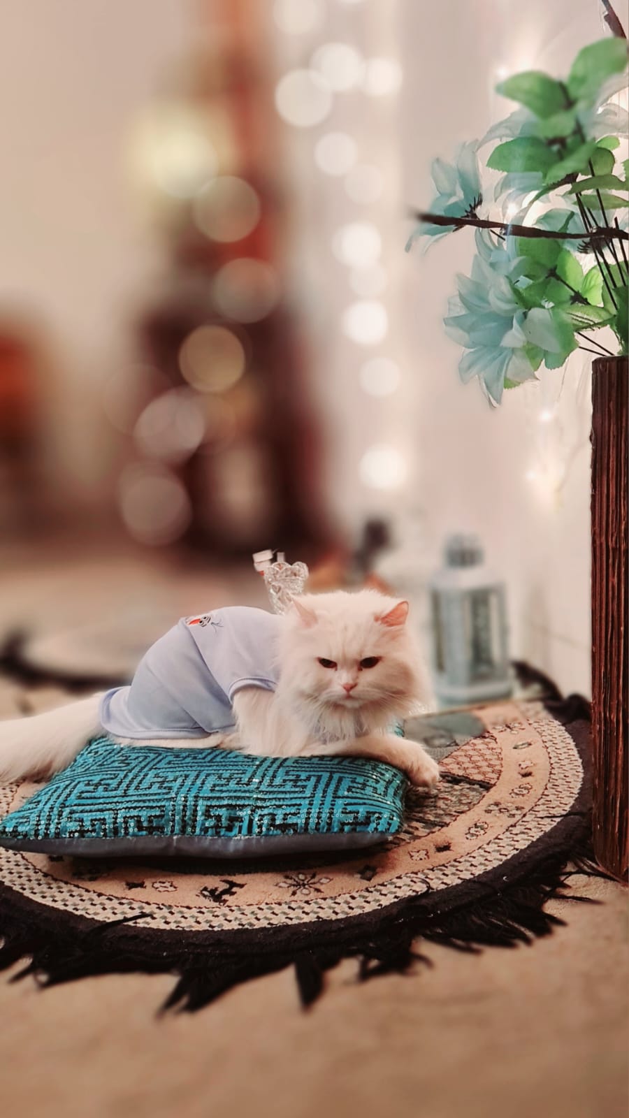 Some people are worth melting for pet shirt 🩵