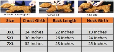 Bear Dog Sweater 🐾🦴