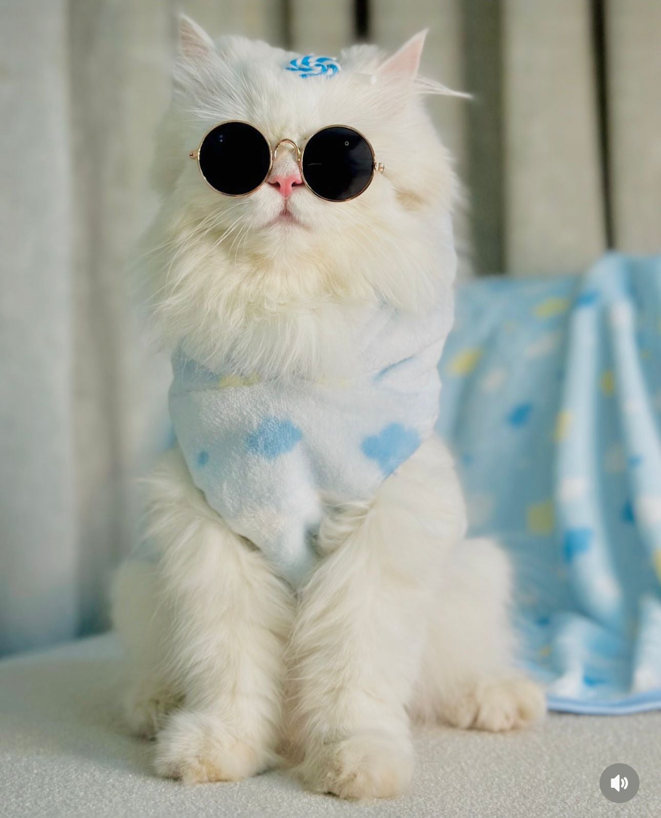 Cloud Pet Hoodie - Blue 🩵 ☁️