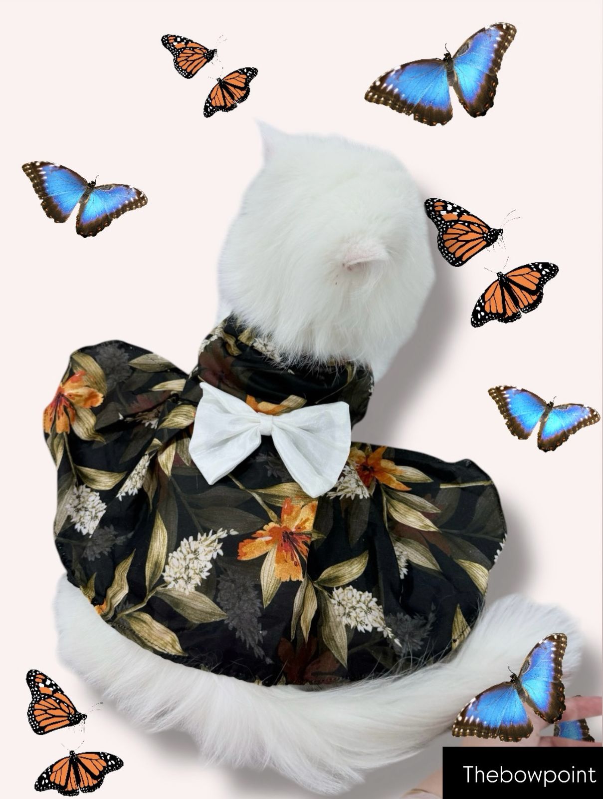 Mom & Cat duo - Bella Pet Frock π€ππ