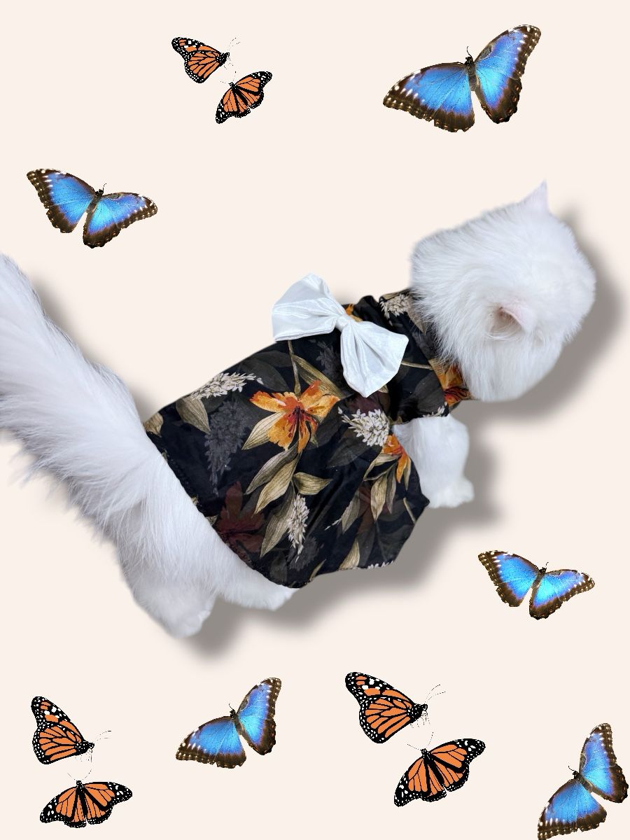 Mom & Cat duo - Bella Pet Frock π€ππ