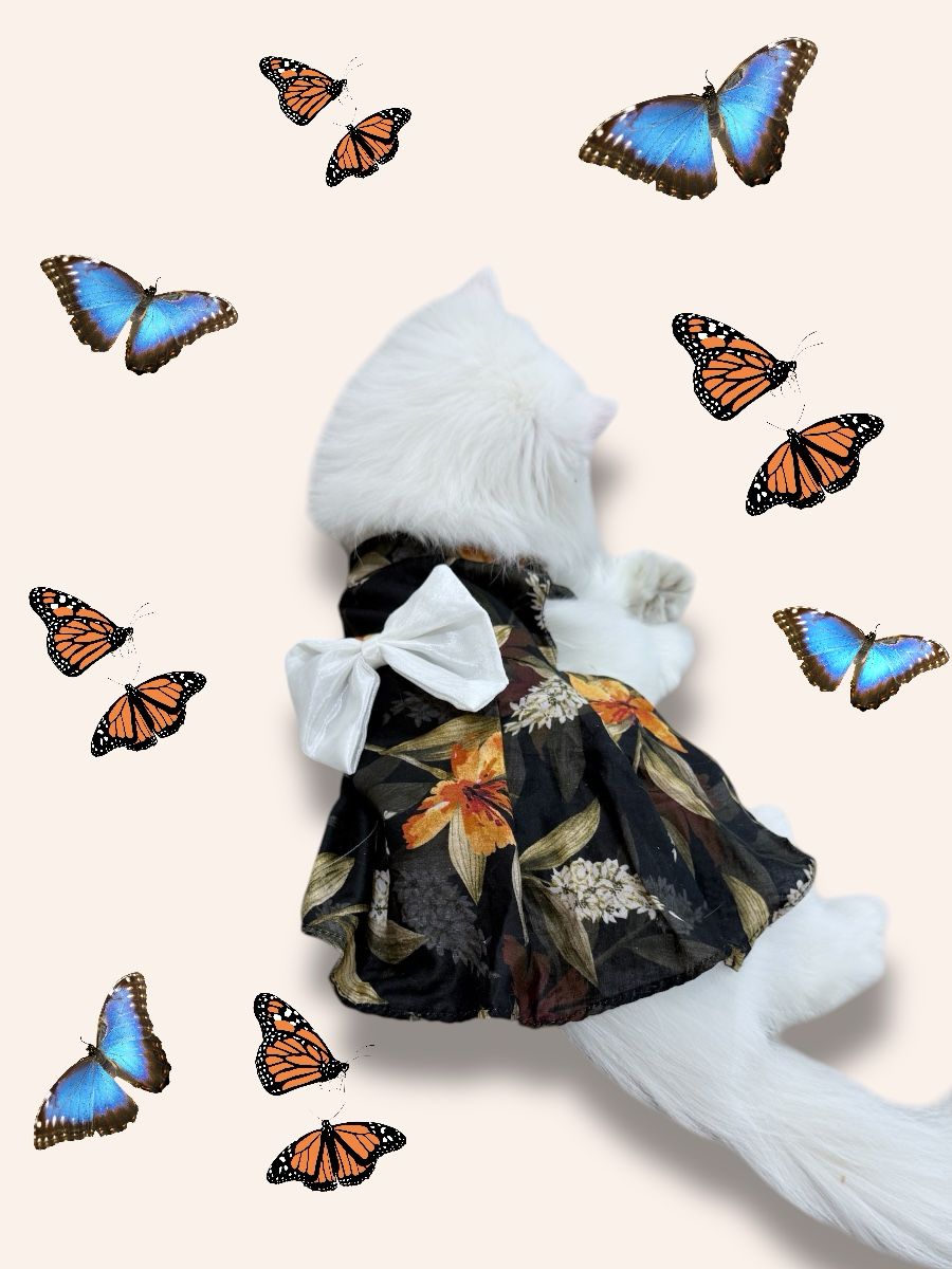 Mom & Cat duo - Bella Pet Frock π€ππ
