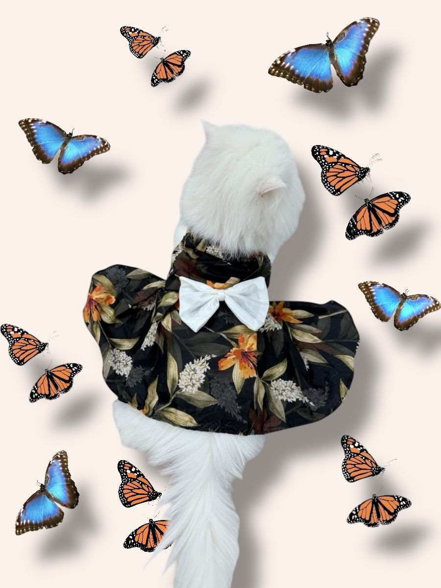 Mom & Cat duo - Bella Pet Frock π€ππ