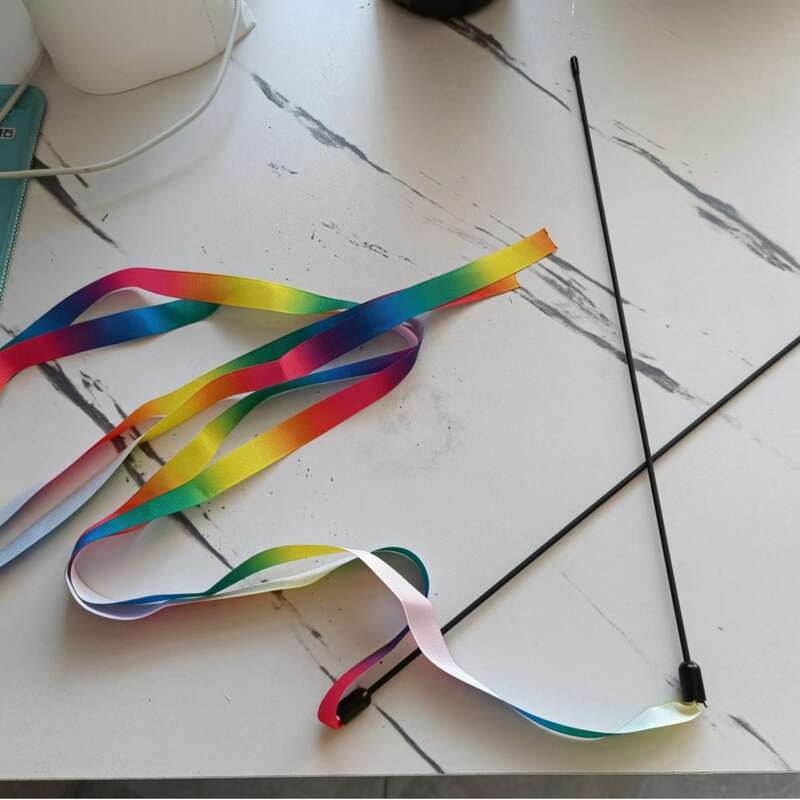 Rainbow cat toy stick 🌈