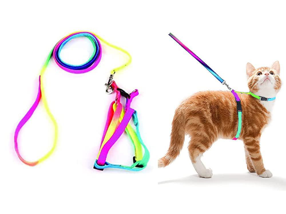 Rainbow Pet Harness π