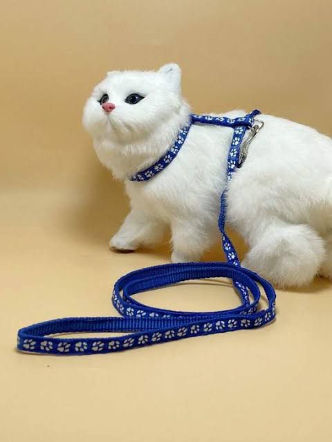 Paw Print Harness β¨