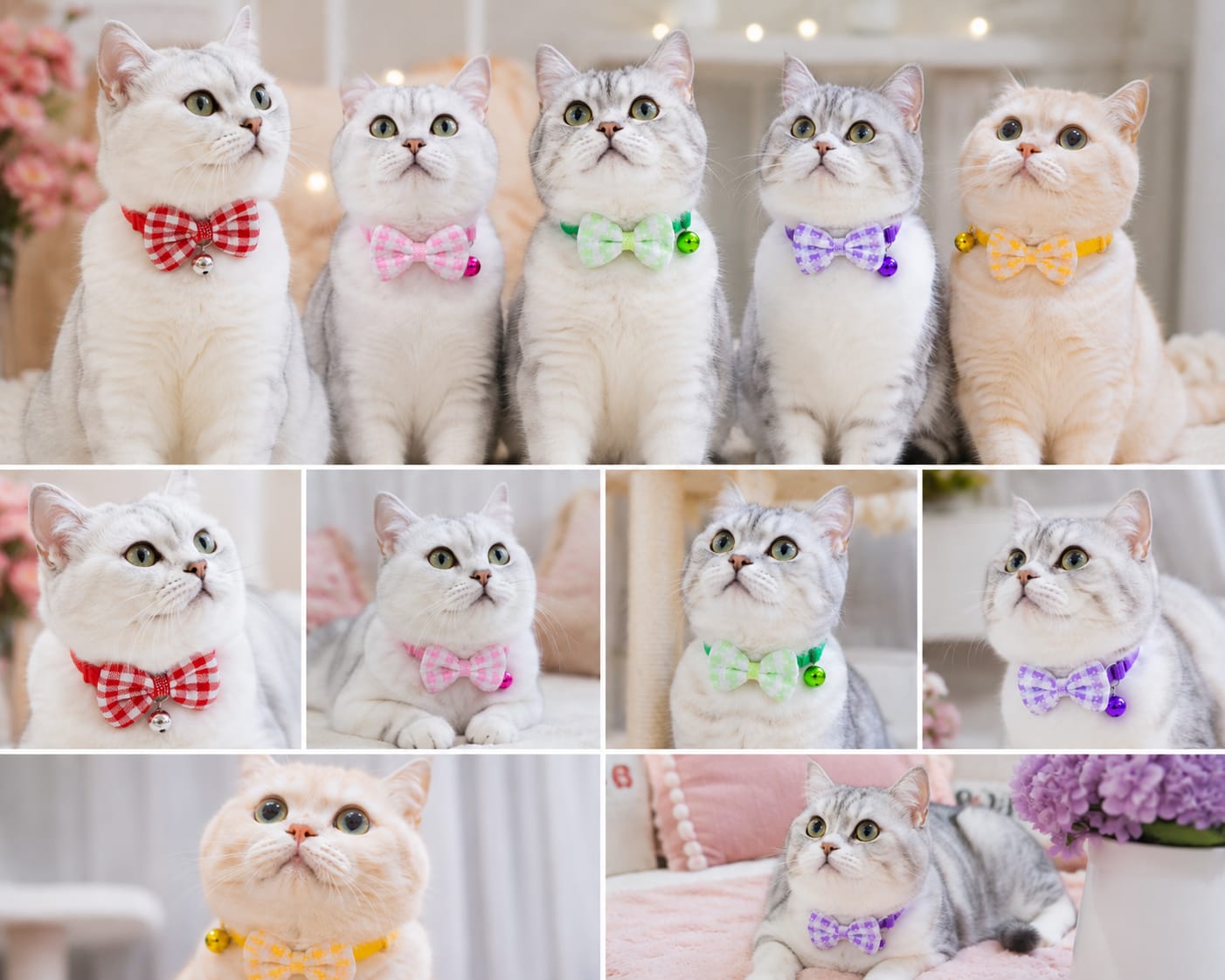 Checkered pet collar