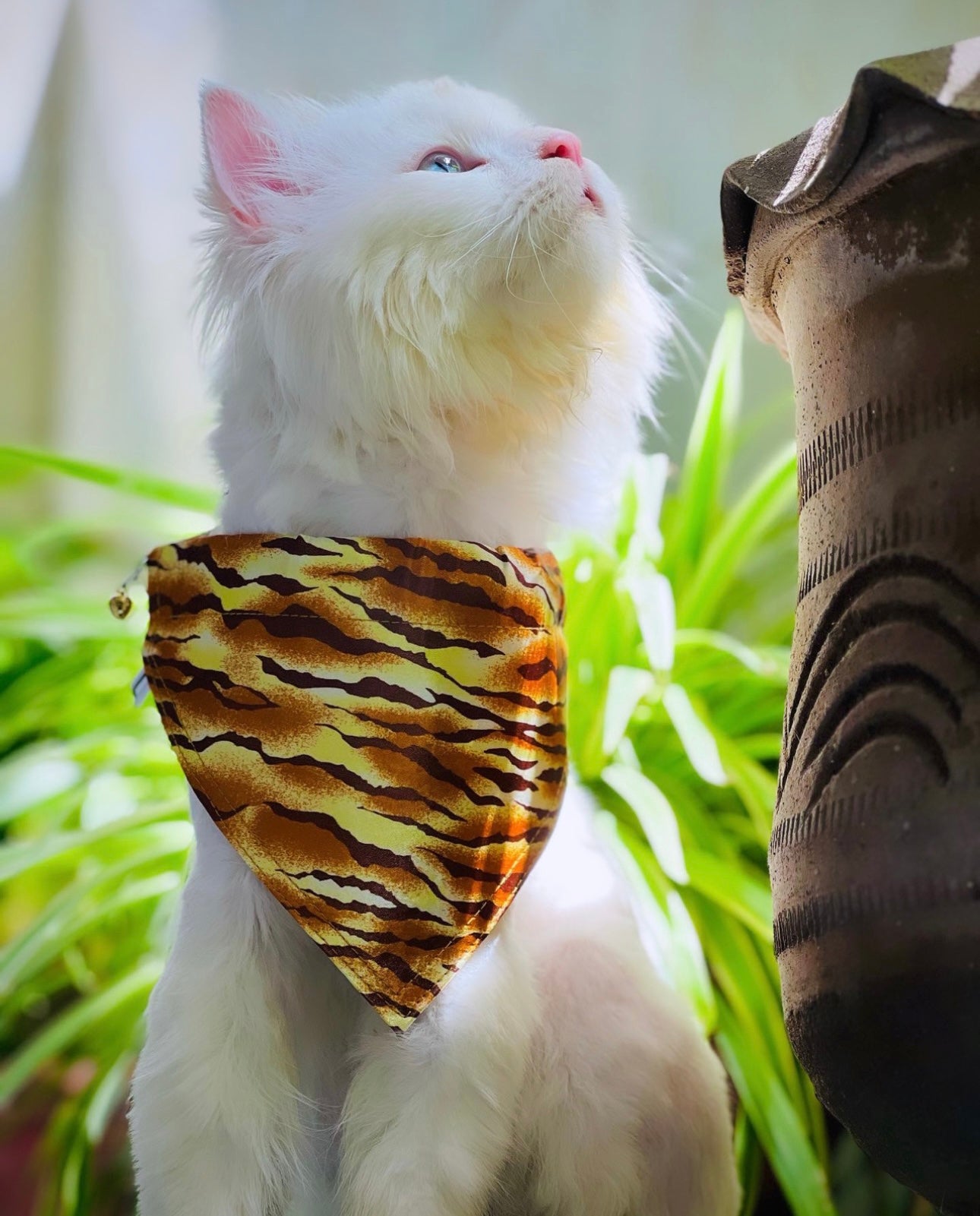 Leopard pet bandana 🦁