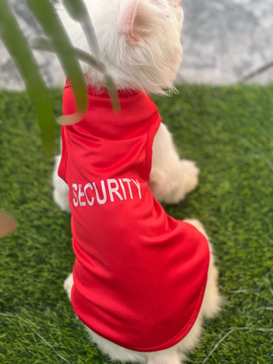 Security pet shirt - RED π