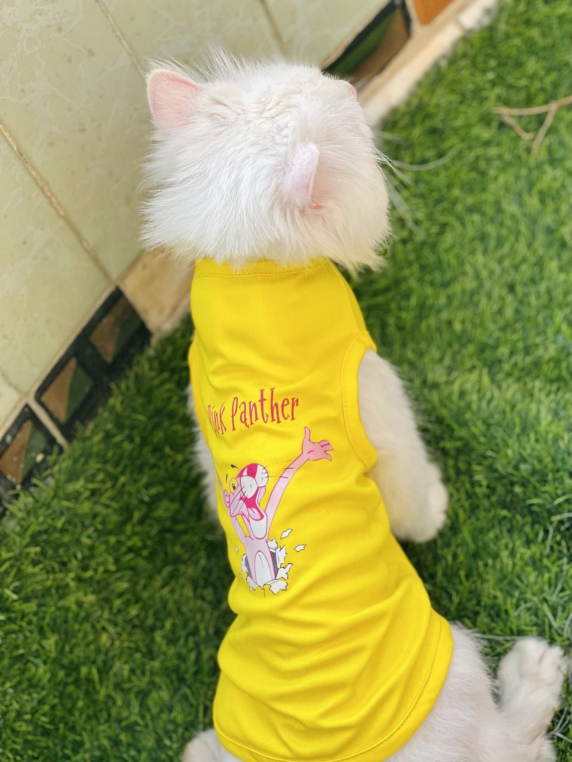 Pink panther pet shirt 🐆