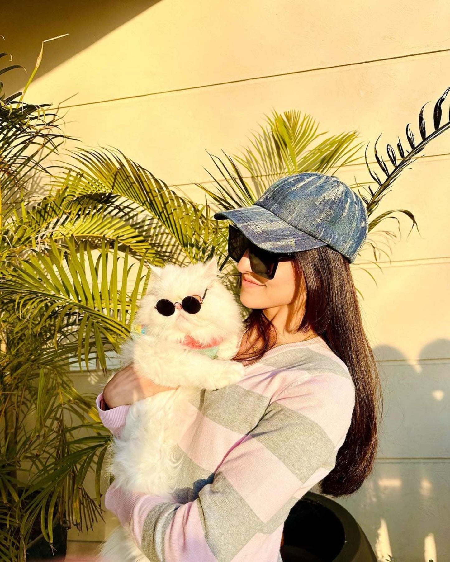 Pet glasses – Cool look
