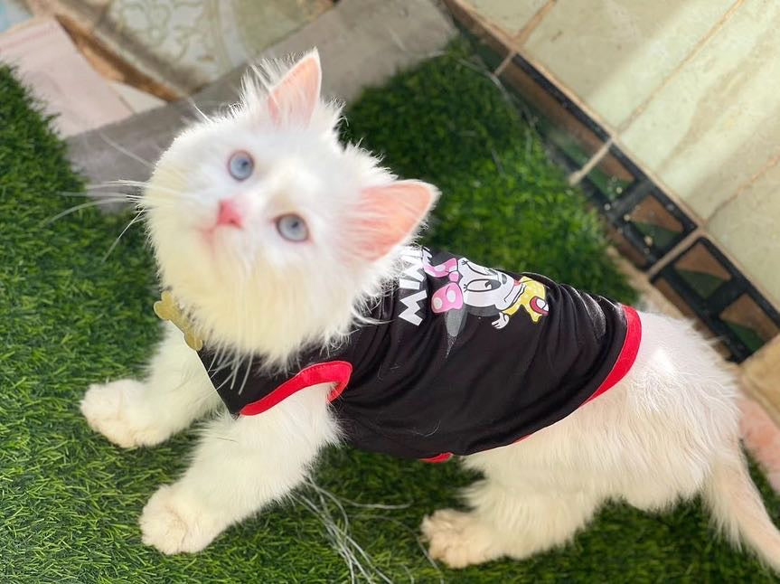 Minnie pet shirt ♥️