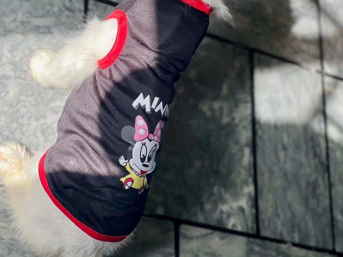 Minnie pet shirt ♥️