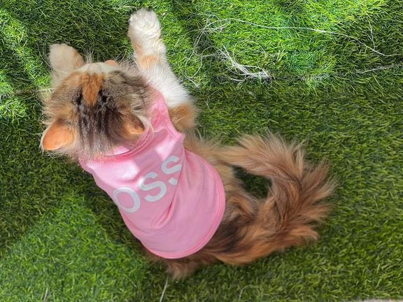 Boss Pet Shirt - PINK